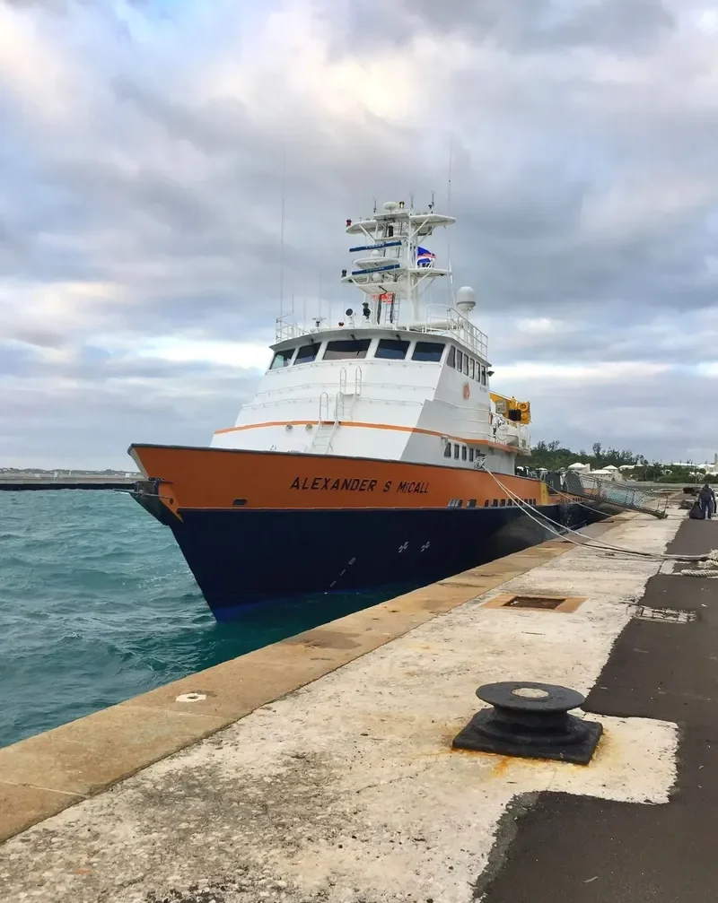 ALEXANDER S MCCALL General Cargo IMO 9715347