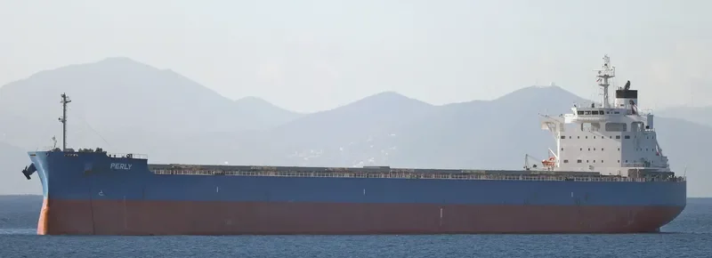 PERLY Bulk Carrier IMO 9715438