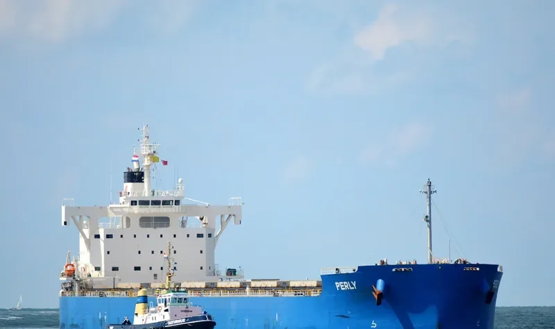 PERLY Bulk Carrier IMO 9715438 photo 2