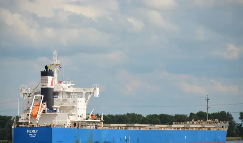 PERLY Bulk Carrier IMO 9715438 photo 3