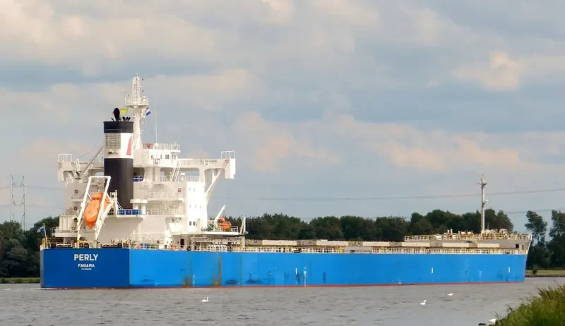 PERLY Bulk Carrier IMO 9715438 photo 4