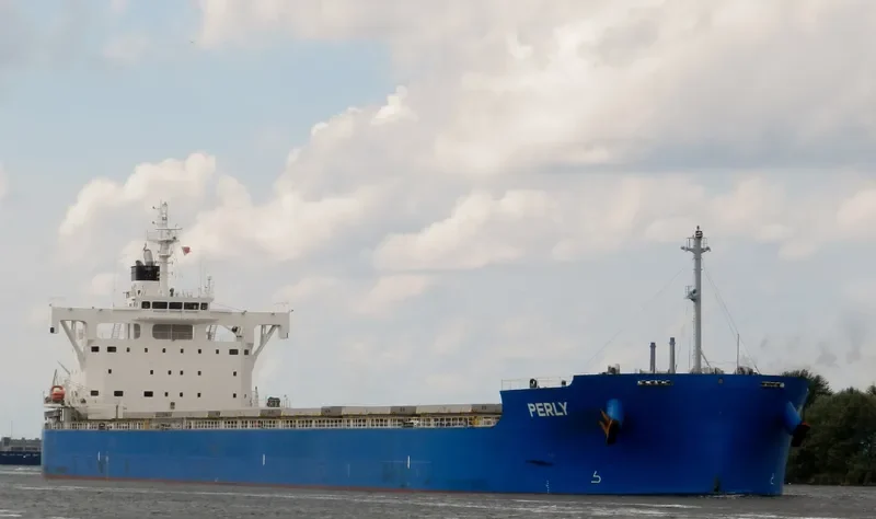 PERLY Bulk Carrier IMO 9715438 photo 5