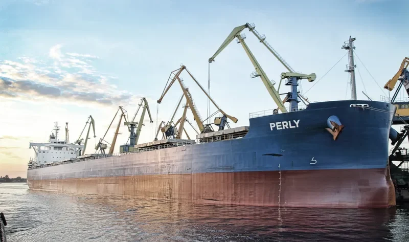 PERLY Bulk Carrier IMO 9715438 photo 6