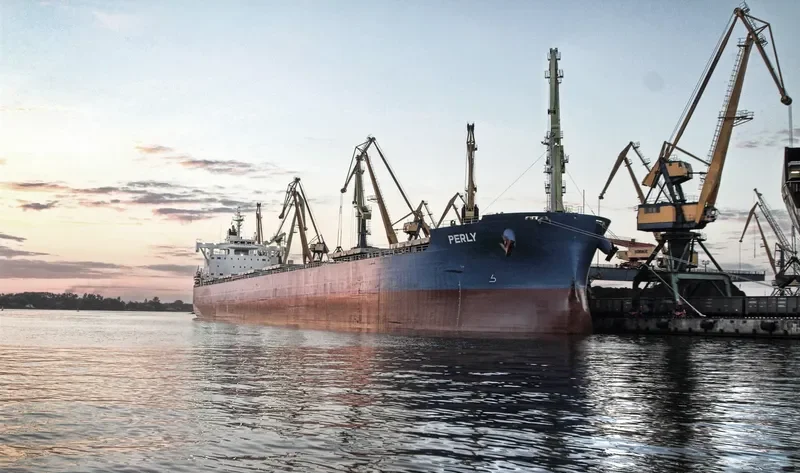 PERLY Bulk Carrier IMO 9715438 photo 7