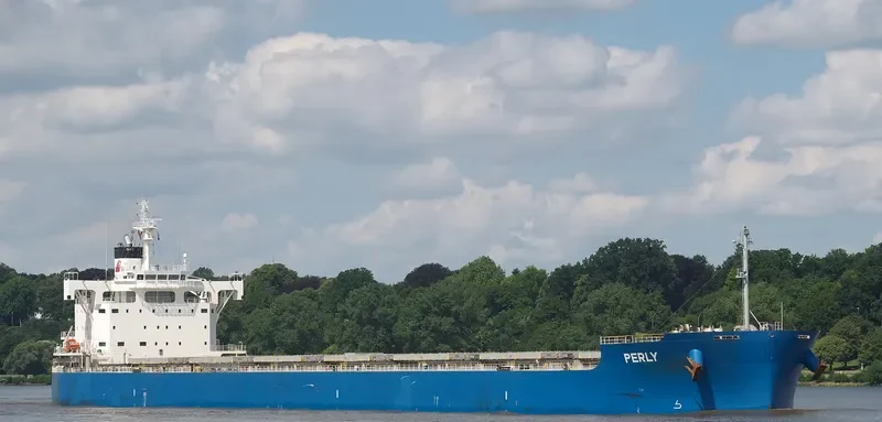 PERLY Bulk Carrier IMO 9715438 photo 8