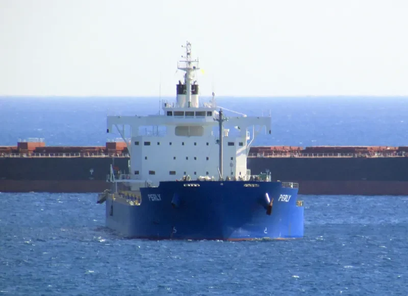PERLY Bulk Carrier IMO 9715438 photo 10