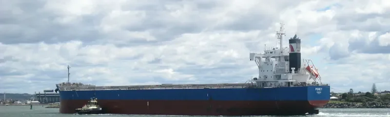 PENEY Bulk Carrier IMO 9715440 photo 10