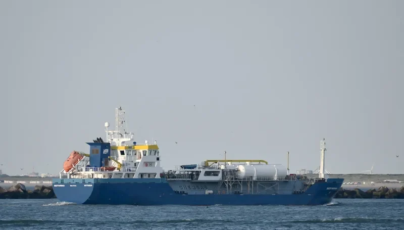 SEFARINA General Cargo IMO 9715701 photo 3