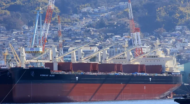 ALIKI PERROTIS Bulk Carrier IMO 9715799 photo 2