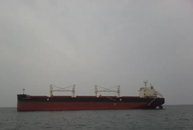 ALIKI PERROTIS Bulk Carrier IMO 9715799 photo 4