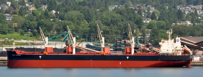 KONKAR THEODOROS Bulk Carrier IMO 9715804 photo 3