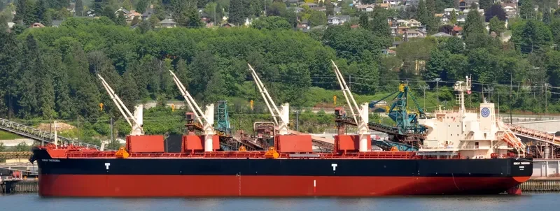 KONKAR THEODOROS Bulk Carrier IMO 9715804 photo 4