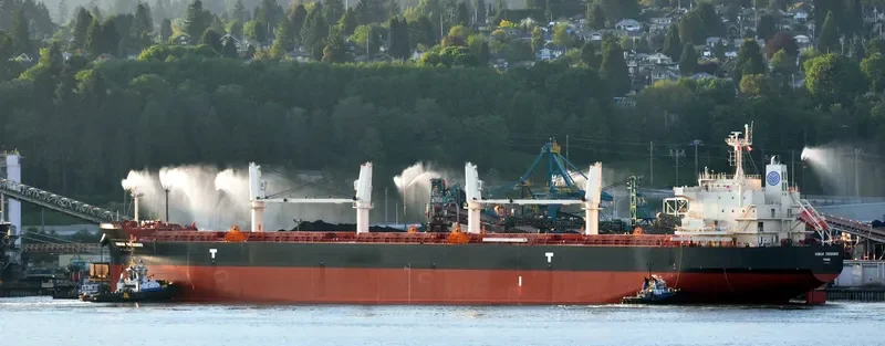 KONKAR THEODOROS Bulk Carrier IMO 9715804 photo 5