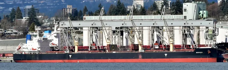 CL CENTURY Bulk Carrier IMO 9715816