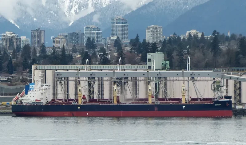 CL CENTURY Bulk Carrier IMO 9715816 photo 2