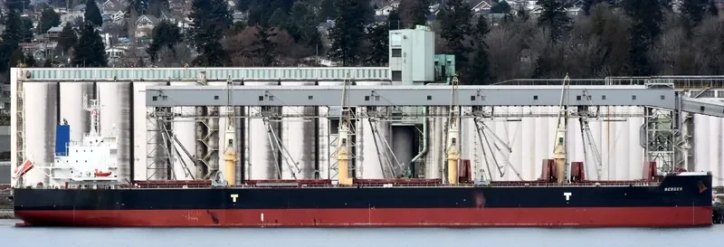 CL CENTURY Bulk Carrier IMO 9715816 photo 3