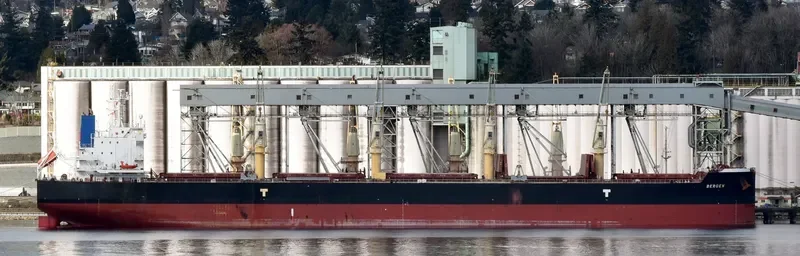 CL CENTURY Bulk Carrier IMO 9715816 photo 4