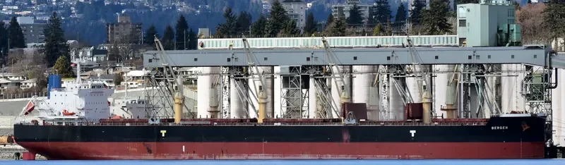 CL CENTURY Bulk Carrier IMO 9715816 photo 5