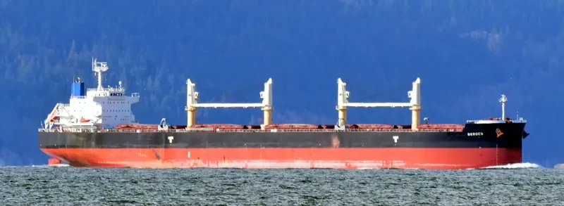 CL CENTURY Bulk Carrier IMO 9715816 photo 6