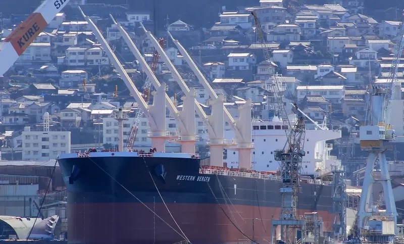 CL CENTURY Bulk Carrier IMO 9715816 photo 7