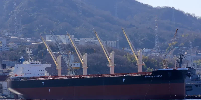 CL CENTURY Bulk Carrier IMO 9715816 photo 8