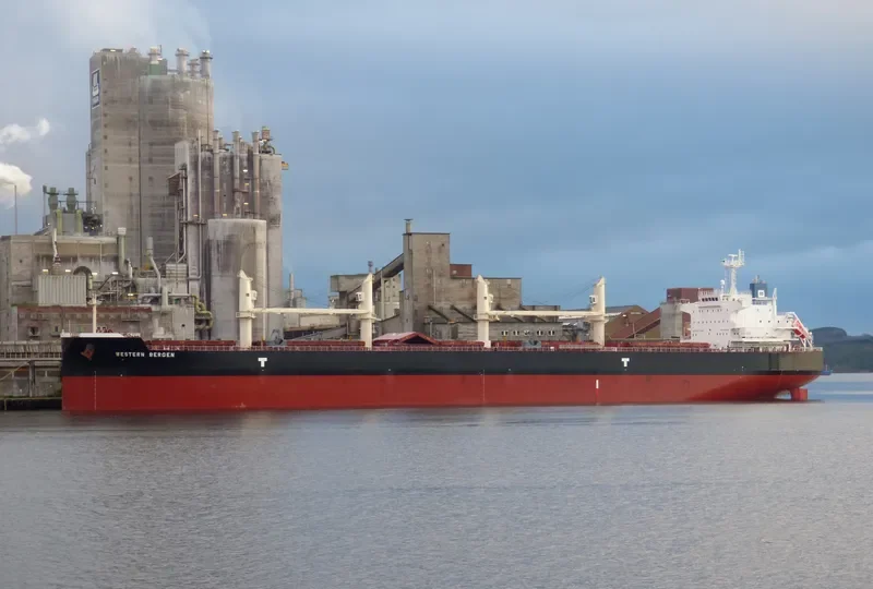 CL CENTURY Bulk Carrier IMO 9715816 photo 9