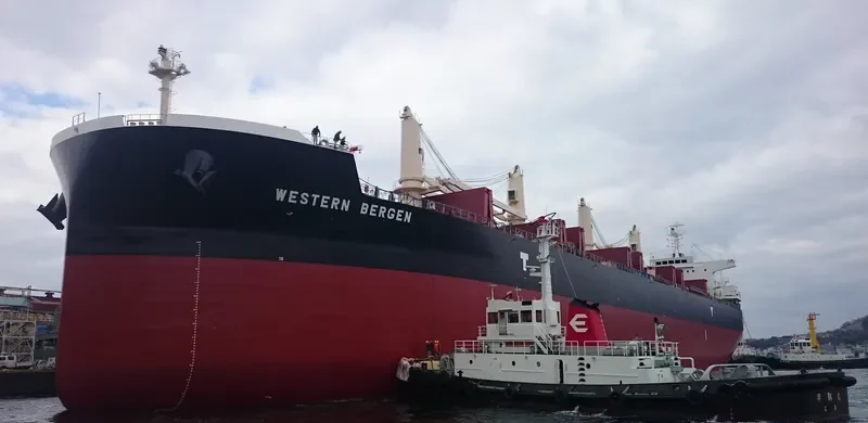 CL CENTURY Bulk Carrier IMO 9715816 photo 10