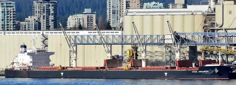 STAR AQUARIUS Bulk Carrier IMO 9715828