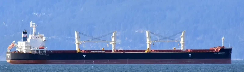 STAR AQUARIUS Bulk Carrier IMO 9715828 photo 2