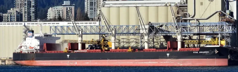 STAR AQUARIUS Bulk Carrier IMO 9715828 photo 3