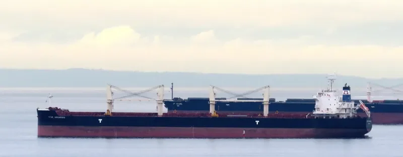 STAR AQUARIUS Bulk Carrier IMO 9715828 photo 5