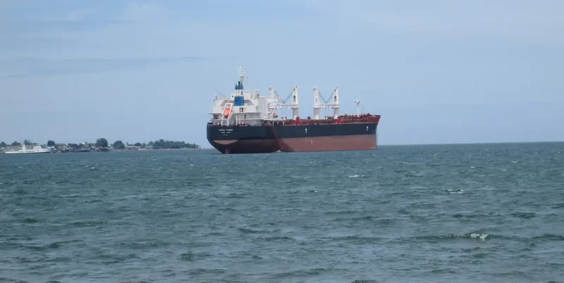 DARYA PADMA Bulk Carrier IMO 9715830