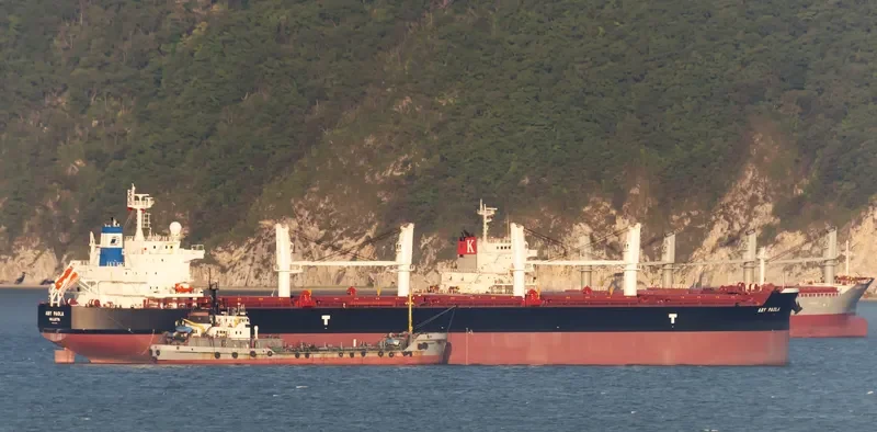DARYA PADMA Bulk Carrier IMO 9715830 photo 2