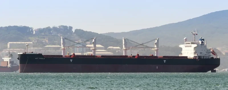 DARYA PADMA Bulk Carrier IMO 9715830 photo 3
