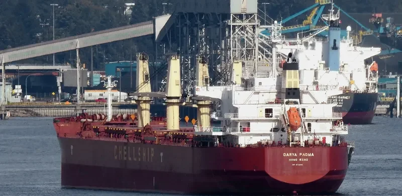 DARYA PADMA Bulk Carrier IMO 9715830 photo 4