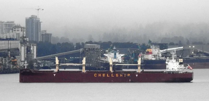 DARYA PADMA Bulk Carrier IMO 9715830 photo 5