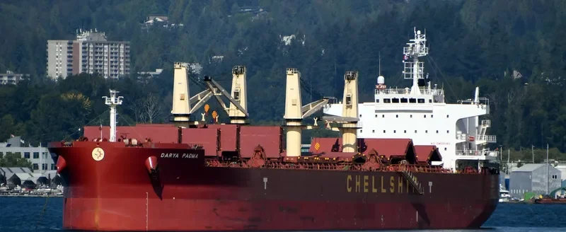 DARYA PADMA Bulk Carrier IMO 9715830 photo 6