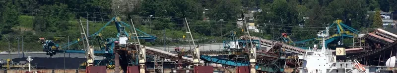 DARYA PADMA Bulk Carrier IMO 9715830 photo 7