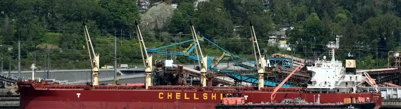 DARYA PADMA Bulk Carrier IMO 9715830 photo 8