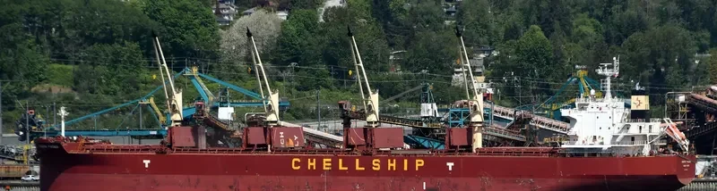 DARYA PADMA Bulk Carrier IMO 9715830 photo 9