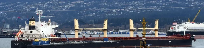DARYA PADMA Bulk Carrier IMO 9715830 photo 10