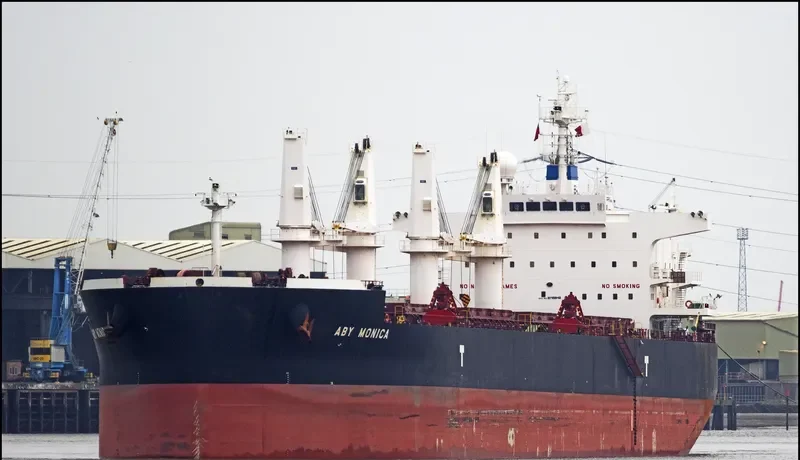 STAR MONICA Bulk Carrier IMO 9715842 photo 6