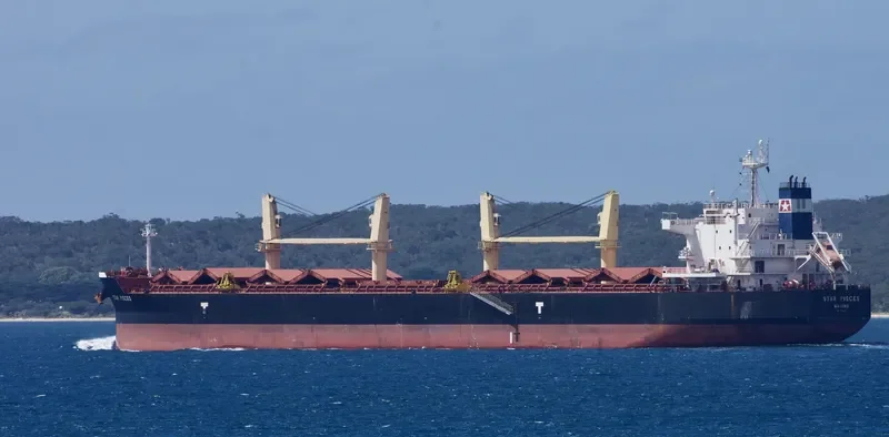 STAR PISCES Bulk Carrier IMO 9715854 photo 9
