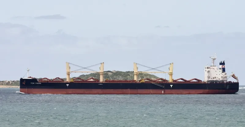 STAR PISCES Bulk Carrier IMO 9715854 photo 10