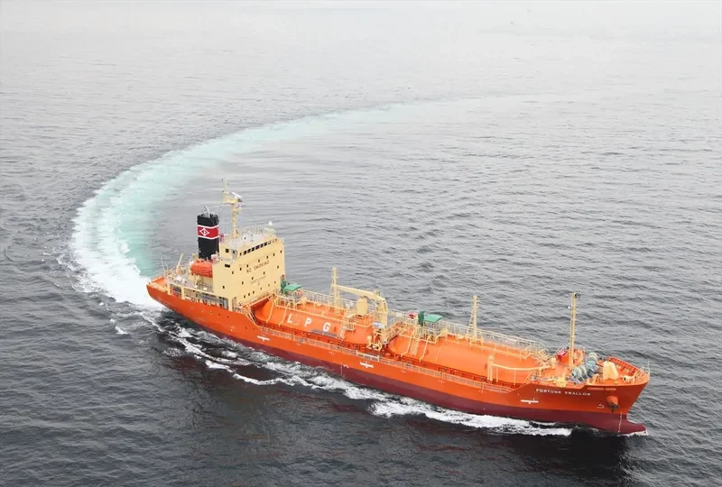 FORTUNE SWALLOW General Cargo IMO 9715945