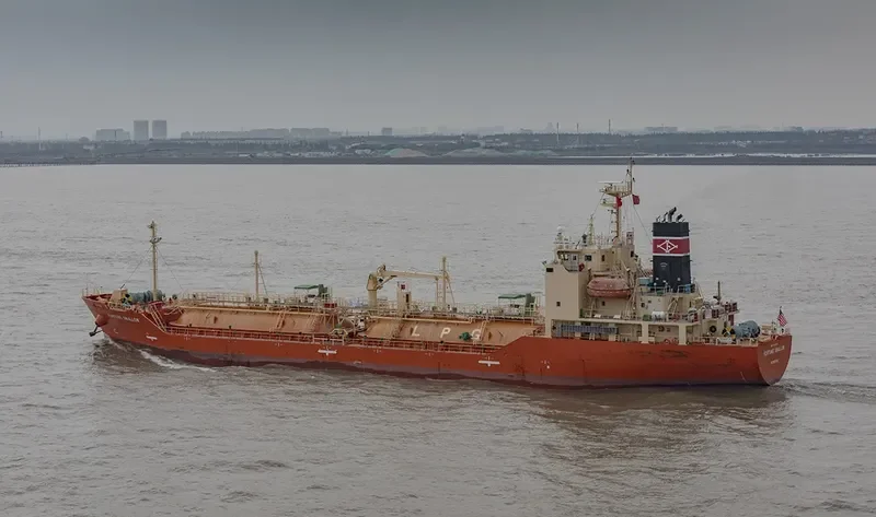 FORTUNE SWALLOW General Cargo IMO 9715945 photo 2