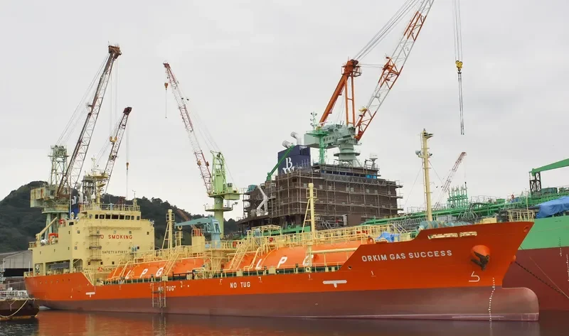 ORKIM GAS SUCCESS General Cargo IMO 9715969
