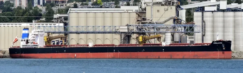 CL SINGAPORE Bulk Carrier IMO 9716028 photo 2