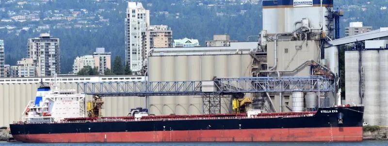 CL SINGAPORE Bulk Carrier IMO 9716028 photo 3