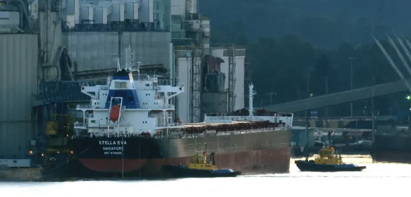 CL SINGAPORE Bulk Carrier IMO 9716028 photo 4
